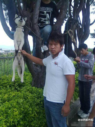 W(wng)ŰƬؑ(yng)QP(gun)ƨ