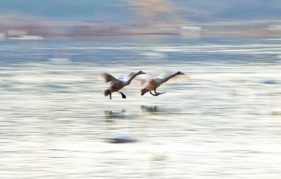  (tng),l(shu)ڳ!T{Sӎ(k)^(q)Z