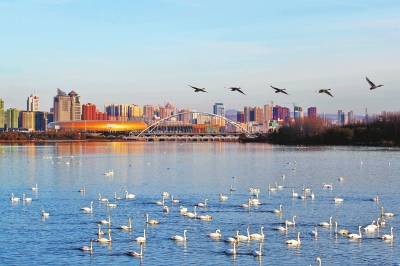  (tng),l(shu)ڳ!T{Sӎ(k)^(q)Z