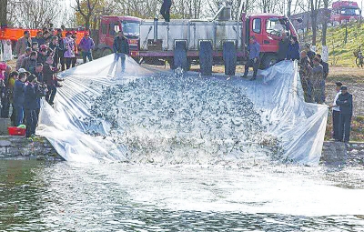 漯河開展?jié)O業(yè)資源增殖放流活動 10萬尾魚苗沙河“安家”