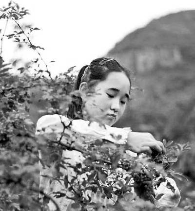 “花椒女孩”的勵志暑假走紅網(wǎng)絡