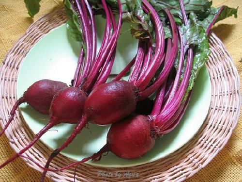 X׽@15NȻʳa(b)X