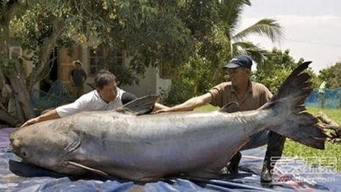 LҊRʮֻľޟoԄ