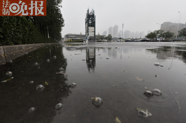 #(bo)Ӎ#(ӛ zӰ)(du)ˮĭĆ}֮ǰýw(bo)QЌұʾ?yn)Lr(sh)g·ضȺܸ֮󣬵Ͼ͕(hu)Кw͕(hu)Кݣĭ䌍(sh)BƬ؄e(x)Ěһͣ͛]Ȼ^ӛp܉Kc(din)վһKδ܇뉺^ķeˮпÿ(dng)ˮΏϷľ۵eˮr(sh)͕(hu)S̖(ho)Ěֱ2-3 Һܲ©ƺˮ|(zh)һճԡͬr(sh)ӛĔzƬr(sh)һЩˮմƤϣ(hu)зNĸX