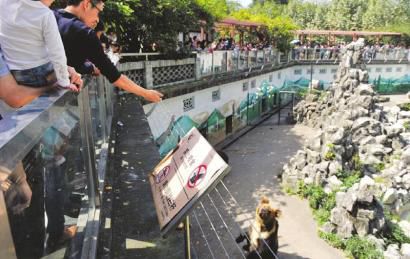 2ɶ@οͲֹ(bio)Zιʳ