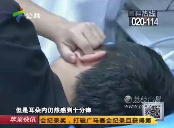 @Ӷ(ni)LMɫx˺ҧʹ