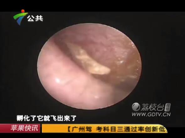 @Ӷ(ni)LMɫx˺ҧʹ