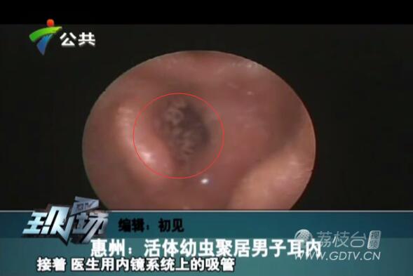 @Ӷ(ni)LMɫx˺ҧʹ