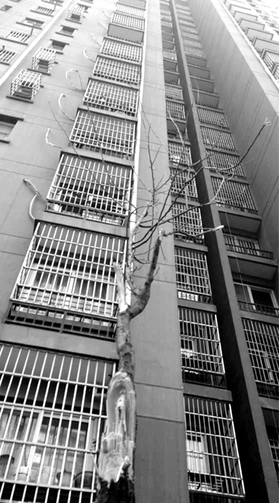 СŮĘϵr(sh)ě_֦Ҕ