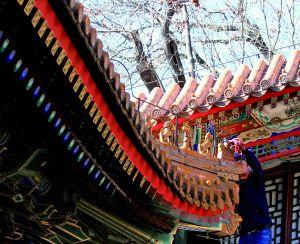 l(f)F(xin)U͈@Ƶݼ߅̎һTPˡȱʧ˵ؾoɽοֿ|ɘ(gu)Iӛ̽LйˆTڬF(xin)ޏ(f)U͈@̎Qȱʧ(gu)(f)Ƙ(gu)L(fng)gL(fng)ο͓ʰԭȻ췿