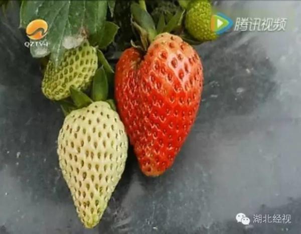 ݮժ@؈ā͵͵ˎ uoο(D)2