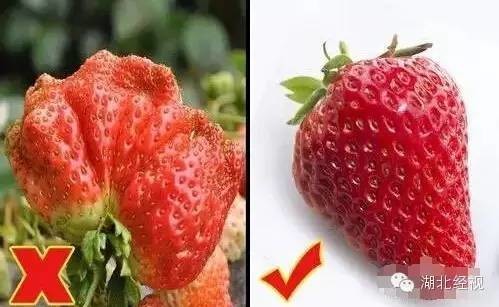 ݮժ@؈ā͵͵ˎ uoο(D)5