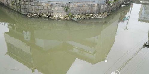 浙江寧波村莊河水一夜變紅 環(huán)保局:已清理(圖)