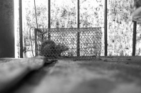 616LɳdС^(q)u˵ĺȻһֻP(gun)ڻ\