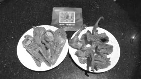 616Lɳ·ɯKTVc^i