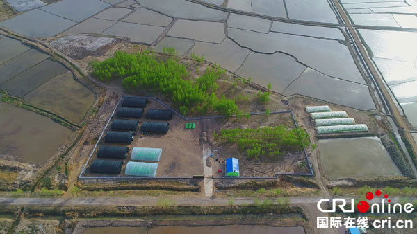 圖片默認(rèn)標(biāo)題