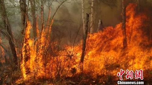 內(nèi)蒙古大興安嶺高地林場(chǎng)火災(zāi)已投入4000人撲救