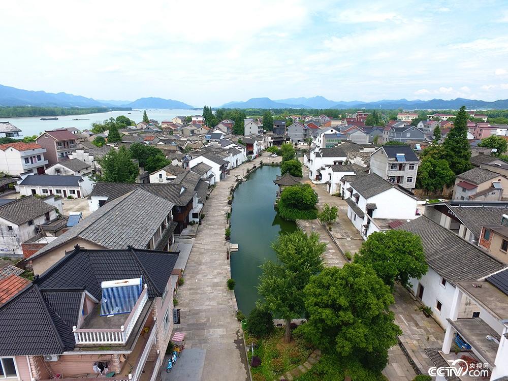 㽭ɫС(zhn)_D鸻ϡ㽭ʡW(wng)kṩ