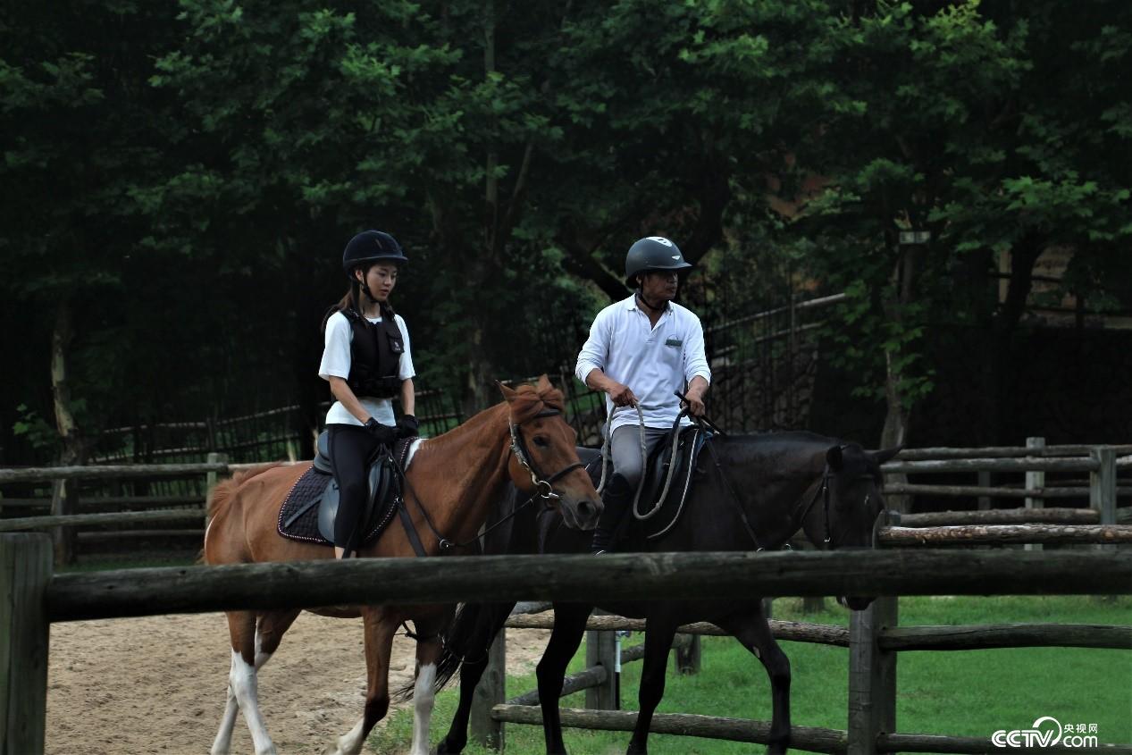 Īɽ(zhn)߶˾Ʒ޵ĺą^(q)ҕW(wng) ӛߺδz