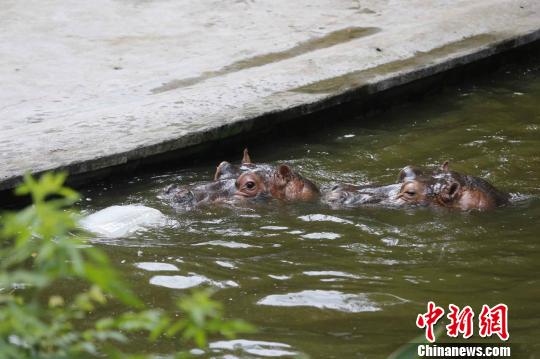 {(dio)K(dng)ʽ