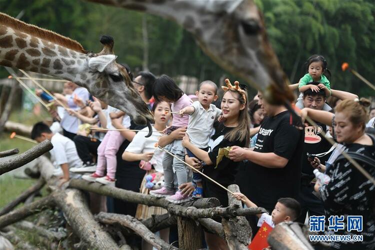 GĿȻá(wn)䌍΄^