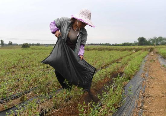 VMhУ(zhn)ʯʩʣ412Քz)@Щÿɶѷa(chn)Aӛ A z