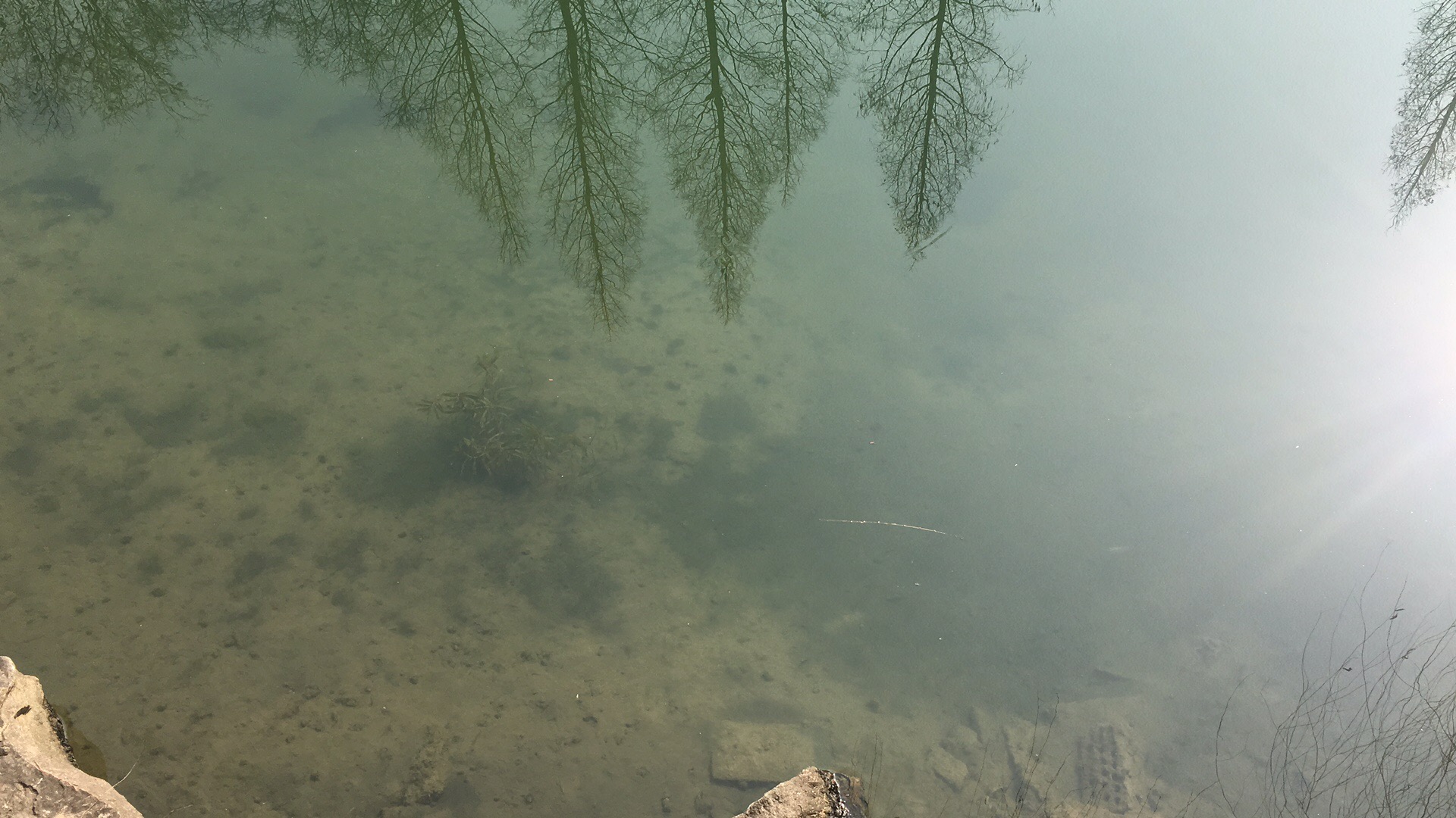 webwxgetmsgimg (4).jpg webwxgetmsgimg (4).jpg